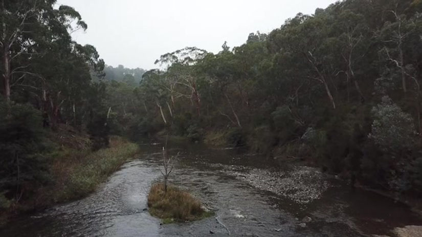 Clip 10 - Upper Yarra